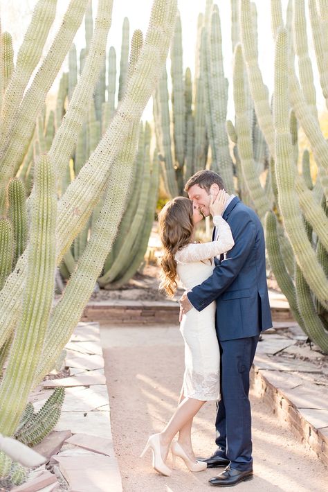 Desert Botanical Garden Engagement - Amy & Jordan Photography Desert Botanical Garden Arizona Photoshoot, Botanic Garden Couple Photoshoot, Perfect Couple Pictures, Botanical Garden Couple Photoshoot, Couple Photoshoot Botanical Garden, Virginia Winery Wedding, Charlottesville Virginia Wedding, Desert Engagement Photos, Dc Wedding Venues