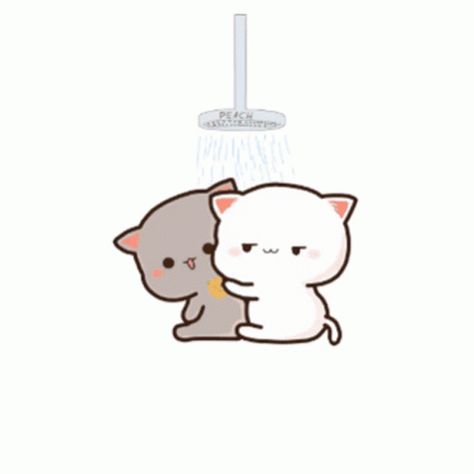 Peachcat Shower GIF - Peachcat Shower Peacat - Discover & Share GIFs Shower Cartoon, Shower Gif, Mochi Cat, Chibi Cat, Funny Poses, Cute Bear Drawings, Cute Good Night, Cute Cartoon Images, Sweet Pic