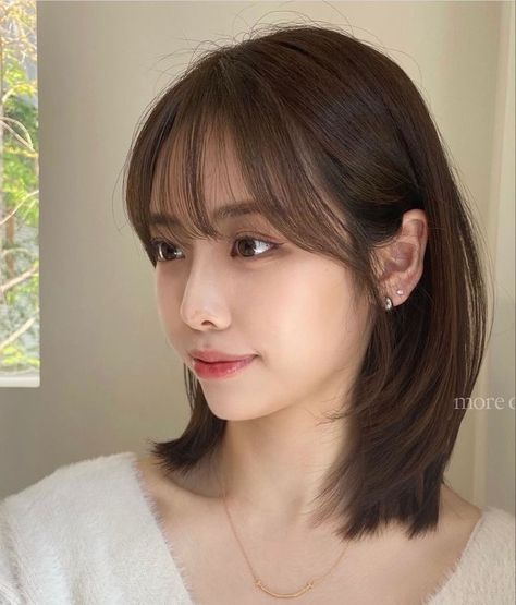 Korean Medium Hair Straight, Short Hair With Light Bangs, Short Hairstyles Shoulder Length, Korean Short Hairstyle, Short Haircuts With Bangs, Hair Color Underneath, Korean Short Hair, Short Hair Images, Music Instagram