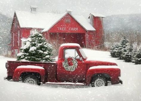 This Saturday, come visit our booth at Christmas On The Farm in Amherst, VA! It's FREE to the public and you can sample some of our award winning sauce! Enjoy shopping with many of your favorite local vendors, get professional photos taken by the Christmas Scene, and Pictures with Santa, and a beautiful view of while a local DJ plays some Christmas tunes. Don't miss it! Christmas Red Truck, Christmas Farm, Snowy Trees, Merry Christmas Images, Christmas Truck, Tree Farm, Christmas Tree Farm, Christmas Scenes, Vintage Trucks