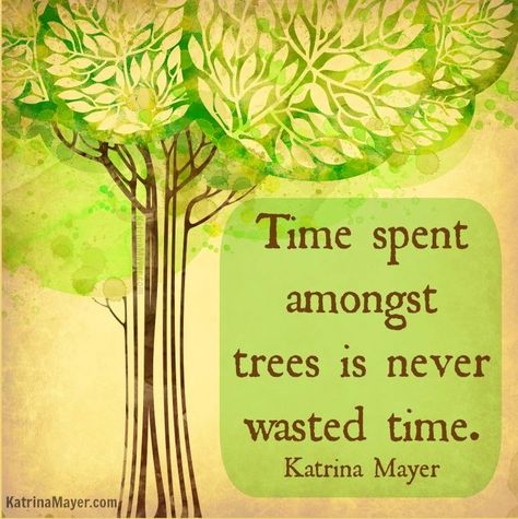 Time spent amongst trees is never wasted time. - Katrina Mayer Garden Poems, Citation Nature, Gardening Quotes, Tree Quotes, Friend Request, Garden Quotes, Body Support, Road Trippin, Garden Club