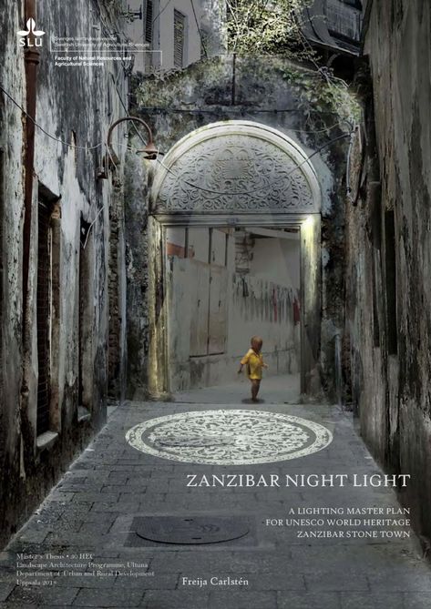 Stone Town Zanzibar, Unusual Houses, Architecture Program, Master Thesis, Stone Town, Genius Loci, Agricultural Science, Unusual Homes, Light Design