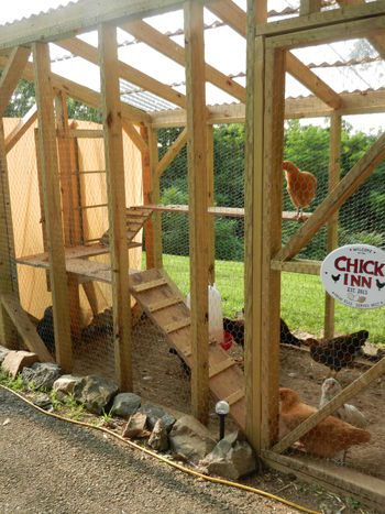 rocks along edge Rocks Around Chicken Coop, Chicken Barbie, Decorating Chicken Coop, Chicken Castle, Coop And Garden Layout, Chicken Coop And Garden, Chicken Coop Roof, Simple Chicken Coop, Backyard Goats