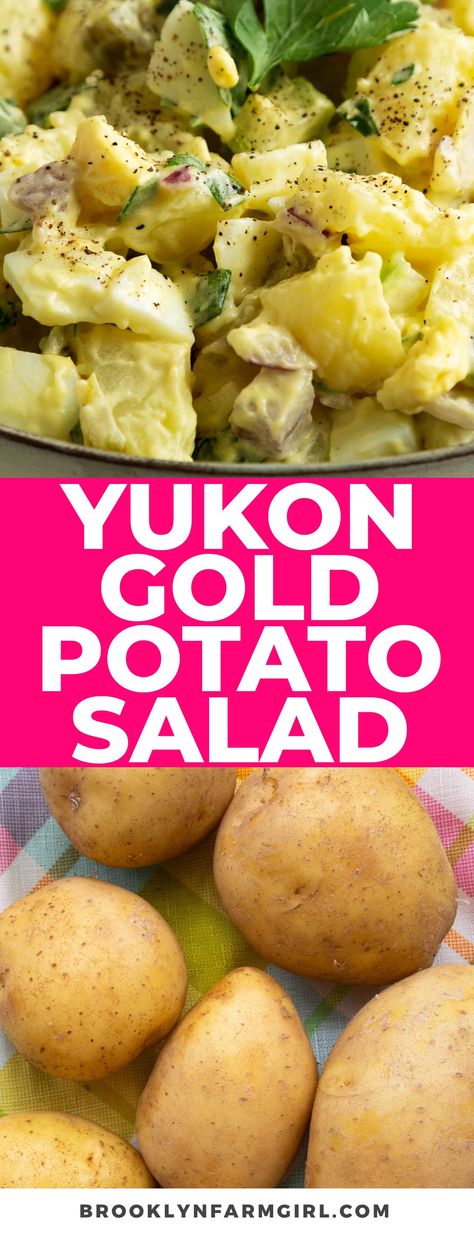 Potato Salad With Yellow Potatoes, Potato Salad Gold Potatoes, Yukon Potato Salad Recipe, Potato Salad Yukon Gold, Potato Salad With Yukon Gold Potatoes, Golden Potato Salad, Klondike Goldust Potatoes Recipe, Yukon Gold Potato Salad Recipe, Yukon Gold Potatoes Recipes