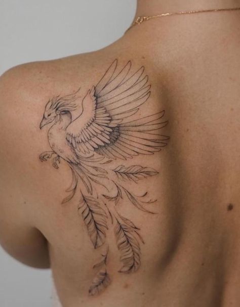 Griffin Tattoo Feminine, Griffin Tattoo, Diver Tattoo, Fenix Tattoo, Flower Vine Tattoos, Small Phoenix Tattoos, Hidden Tattoos, Vine Tattoos, Phoenix Tattoo