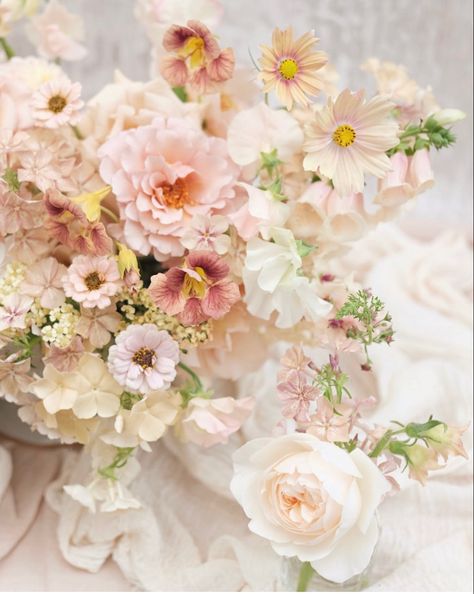 Fleur Aesthetic, Peach Wedding Bouquet, Phlox Flowers, Brandon Scott, August Garden, Flowers Tea, Garden Bouquet, Spring Wedding Bouquet, Beach Wedding Flowers