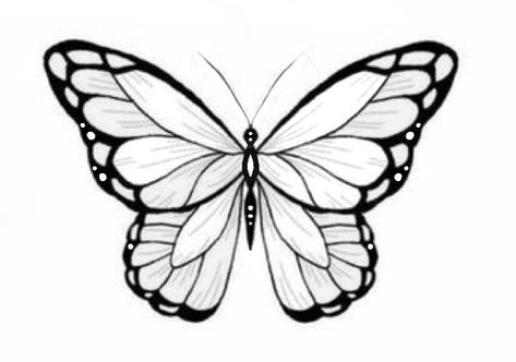 Ivy Tattoos, Symmetrical Drawing, Feather Tattoo Meaning, Butterfly Tattoo Design, Butterfly Tattoo Stencil, Free Stencils Printables, Butterfly Heels, Tattoos Cute, Butterfly Stencil