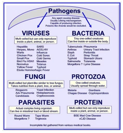 Types of Pathogens Nursing School Survival, Medical Facts, Nursing School Studying, Nursing School Tips, Nursing School Notes, Medical School Studying, Medical Terminology, Medical Studies, Nursing Tips