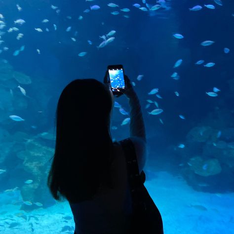 Blue Girl Aesthetic, Aquatic Aesthetic, Aquarium Date, Aquarium Pictures, Fake Pics, Under The Ocean, Sea Photo, Japan Aesthetic, Cute Friend Pictures