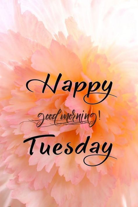 Cousin Aesthetic, Tuesday Morning Wishes, Thoughtful Tuesday, Good Morning Tuesday Wishes, Embrace Uncertainty, Happy Tuesday Morning, Tuesday Quotes Good Morning, Time For New Beginnings, Tuesday Images