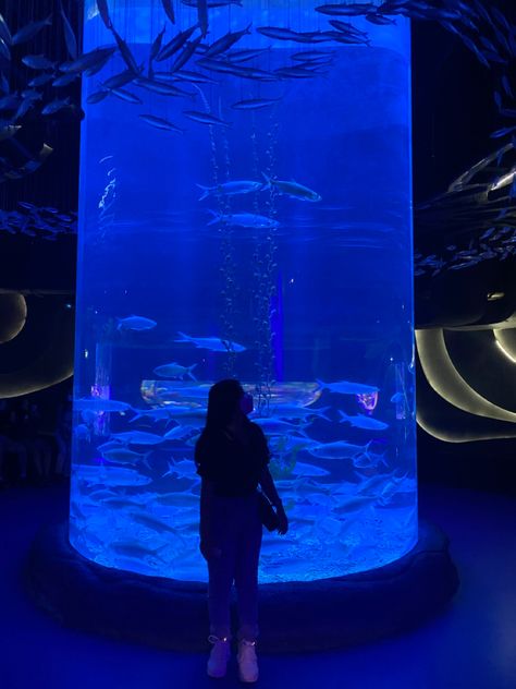 Jakarta Aquarium, Aquarium Aesthetic, Best Anime Couples, Korean Music, Aesthetic Images, Character Aesthetic, Safe Place, Under The Sea, Jakarta