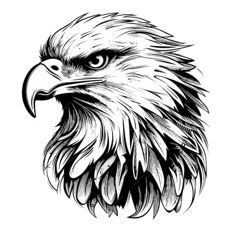 Premium Vector | Eagle vector illustration Eagle Face Drawing, Eagle Face Tattoo, Eagle Drawings, Eagle Outline, Side Face Drawing, Eagle Head Tattoo, Eagle Png, Eagle Artwork, Animal Sleeve Tattoo