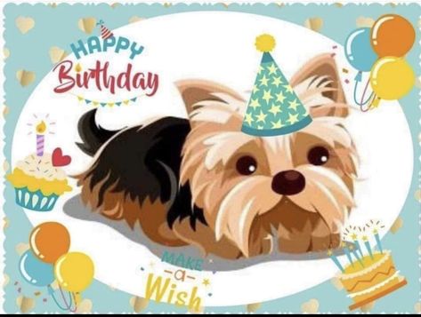 Greeting Card Sentiments, Biewer Terrier, Birthday Greetings Friend, Happy Birthday Greetings Friends, Card Sentiments, Happy Birthday Greetings, Make A Wish, Yorkshire Terrier, Birthday Greetings