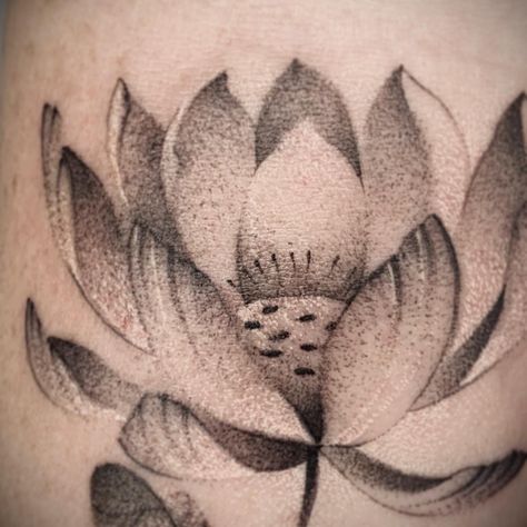 The floating lotus By Faisal Al-lami  @tattoo.sal ——- #dallastattooartist #dallastattoos #art #drawing #inked #lotusflowertattoo #flowertattoo #sleevetattoo #blackandgreytattoo #softtattoo #peakneedles #whipshaded #texasink #dfwtattoos Soft Tattoo, Lotus Tattoo, Black And Grey Tattoos, Lotus Flower Tattoo, Black Tattoos, Maple Leaf Tattoo, Art Drawing, Sleeve Tattoos, Tattoo Artists