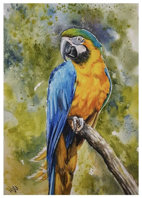 Blue Parrot Painting, Watercolour Parrot, Parrot Acrylic Painting, Parrots Painting, Watercolor Parrot Painting, Macaw Art, Staircase Art, Bird Watercolor Art, Parrot Drawing