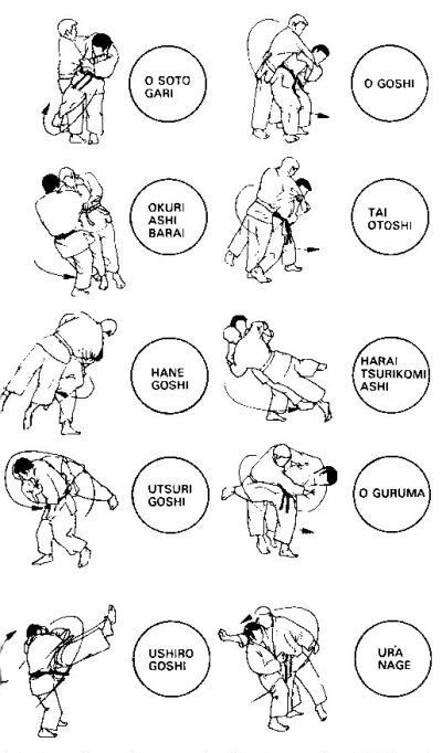 Judo Basics, Judo Techniques, Jiu Jutsu, Judo Throws, Judo Training, Karate Kata, Martial Arts Sparring, Trening Sztuk Walki, Shotokan Karate