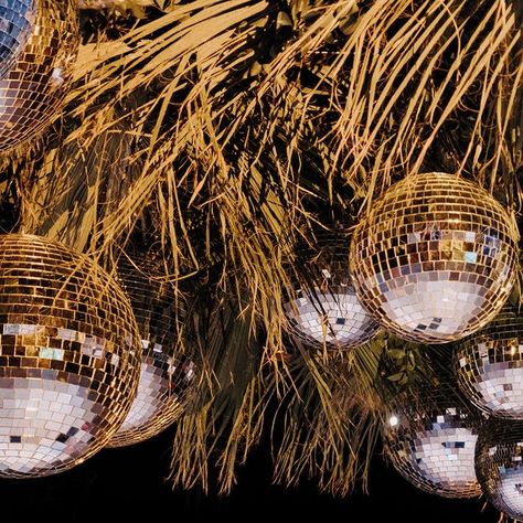 LA76 Photography on Instagram: "Magical first dance for Shay & Michael, under the stunning ceiling of disco balls and lush tropical leaves. ✨⁣ ⁣ Planning & Design: @elenadamy⁣⁣ HMU: @blancbridalsaloncabo⁣⁣ Venue: @solazresortloscabos⁣⁣ Photography: @LA76photography⁣⁣ B&G: @shayeliz ＋ @mmalacho" Disco Balls, First Dance, Tropical Leaves, Lush, Wedding Day, Ceiling, Photography, On Instagram, Instagram