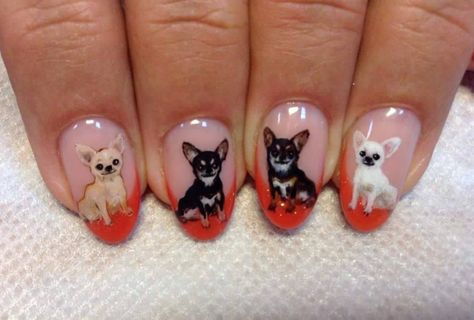 20 Alluring Nail Designs for Chihuahua Owners | Page 2 of 5 | The Dogman Chihuahua Nails, Chihuahua Nail Art, Dog Nail Art, Animal Nail Designs, Cat Nail Art, Finger Nail Art, Nail Pictures, Animal Nails, Fantasy Hair