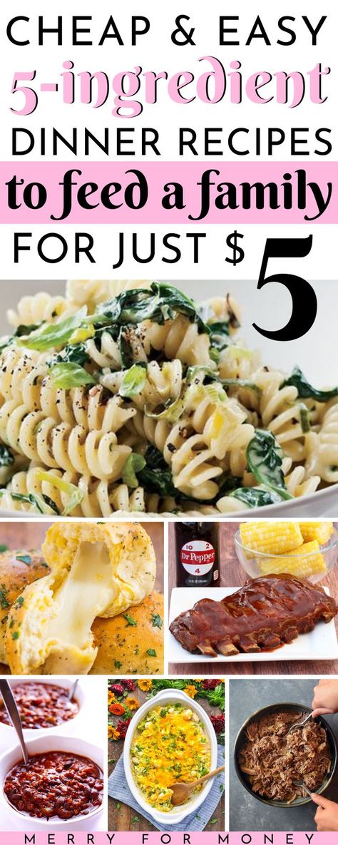 Love 5 dollar dinners? How about 5 ingredient dinner recipes for under $5? Simple, cheap, easy, budget friendly dinner meals to feed a big family. 25 simple meal ideas for you and your family if you don't have a big grocery shopping list. Only 5 ingredients for easy, simple meal planning ideas. -- cheap easy dinners for family, feed your whole family, keep your grocery budget low. cheap and easy meal ideas, crock pot dinners, casserole recipes, feeds 4, #budgetrecipes #cheapmeals #frugalliving 5 Dollar Dinners, Dollar Dinners, Easy Cheap Dinners, Budget Friendly Dinner, 5 Ingredient Dinners, Pot Dinners, Cheap Easy Meals, Grocery Budget, 5 Dollar