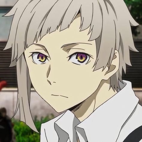 Bungou Stray Dogs Atsushi, V And Jin, Atsushi Nakajima, Bungou Stray Dogs Characters, Dog Icon, Bongou Stray Dogs, Stray Dogs Anime, Bungo Stray Dogs, Stray Dog