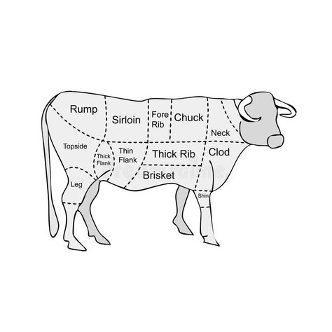 Butcher meat sections of cow. Vector illustration of cow and meat cuts for food , #AFF, #cow, #Vector, #sections, #Butcher, #meat #ad Parts Of A Cow, Cow Clip Art, Western Classroom, Cow Meat, Butcher Meat, Cow Vector, Beef Cuts, A Cow, Meat Cuts