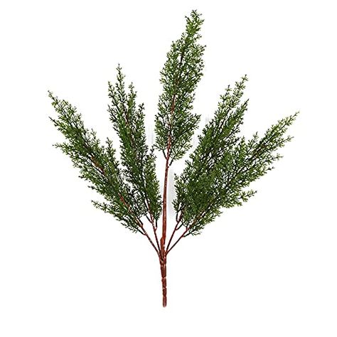 Kelsey Kooima's Amazon Page Cypress Leaves, Cedar Plant, Monterey Cypress, Floral Bouquets Wedding, Vase With Branches, Tree Stem, Greenery Wedding Decor, Artificial Branches, Plant Maintenance