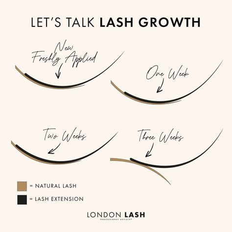 Lash Introduction, Paris Lash Academy, Lashes Extensions Aftercare, Lashes Ideas Instagram, Mini Lash Studio, Educational Lash Posts, Eyelash Extension Training Manual, Lash Page Content, Lash Fills 40%