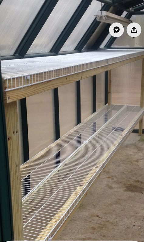 Shelves For Greenhouse Diy, Greenhouse Shelving Ideas Interiors, Diy Greenhouse Shelves How To Build, Greenhouse Rainwater Collection, Greenhouse Shelving Ideas Diy, Greenhouse Shelves Diy, Shelves For Greenhouse, Green House Shelves, Greenhouse Shelving Ideas