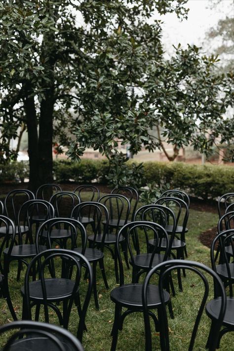 Black bentwood ceremony chairs are staggered for a wedding ceremony. The chairs are placed in the grass near a magnolia tree. The yard is lined in mulched flower beds with low cut bushes. Black Ceremony Chairs, Black Ceremony, Wedding Ceremony Chairs, Ceremony Chairs, Magnolia Tree, Wedding Options, Yard Wedding, Ceremony Seating, Bentwood Chairs