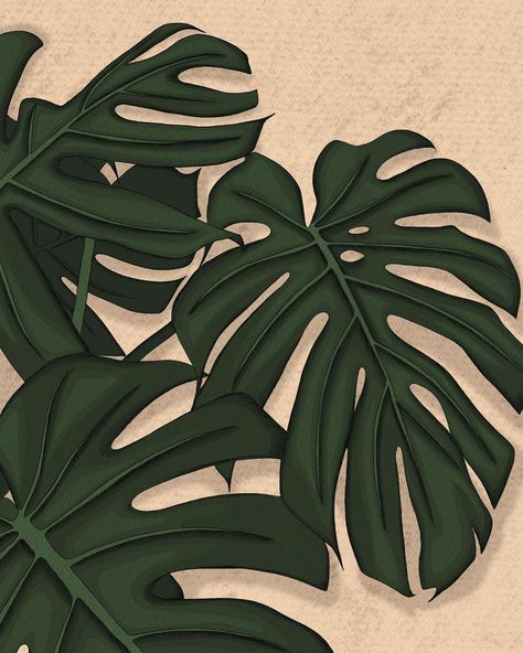 Mayan Llanera Illustrations on Instagram: “MONSTERA LEAVES COLLECTION Available online ☺️ Here I wanted to share my love with the monstera plant, one of the most beautiful plants…” Polynesian Art, Love Art Print, Door Murals, Monstera Leaves, Beautiful Plants, Monstera Plant, Leaf Background, Plant Illustration, Plant Art