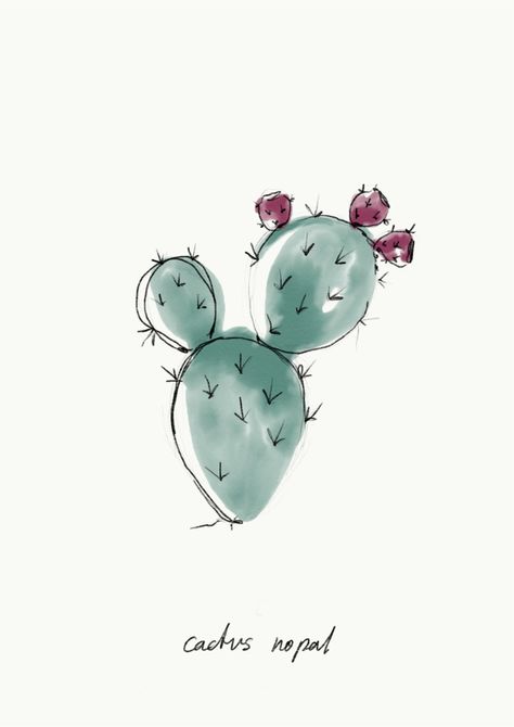 Cactus Fashion, Cowgirl Tattoos, Cactus Tattoo, Cactus Drawing, Cactus Illustration, Instagram Challenge, Cactus Design, Botanical Illustrations, The Challenge