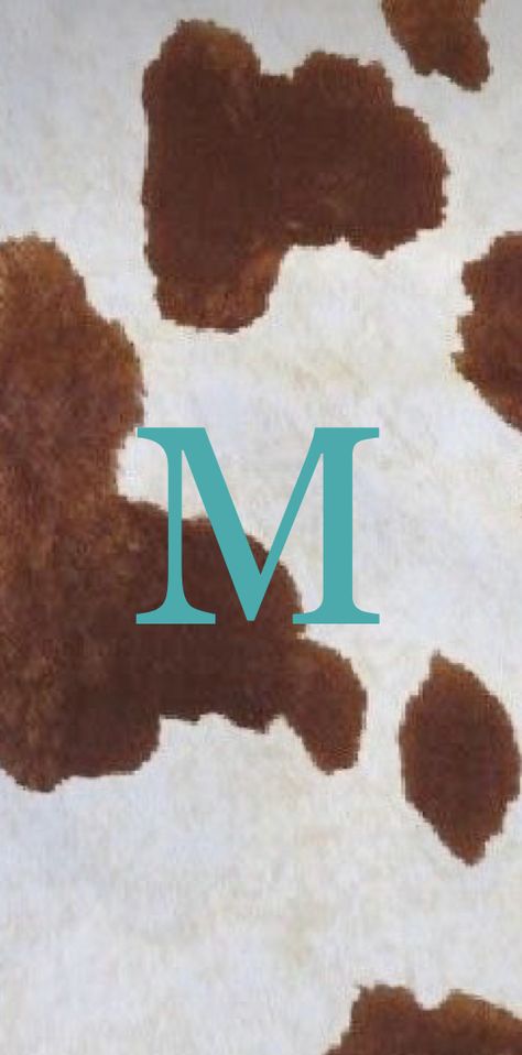 Longhorn Cow Wallpaper Iphone, Cowgirl Screen Savers, Cowgirl Background Aesthetic, Pastel Western Aesthetic, Western Home Screen Widgets, Western Summer Wallpaper, Western Asthetics Wallpaper, Country Pfp Aesthetic, Turquoise Western Wallpaper