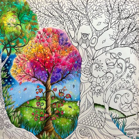 Enchanted Forest Johanna Basford Finished Pages, Enchanted Forest Coloring Book Johanna Basford, Chris Cheng, Kanoko Egusa, Colouring Heaven, Forest Coloring Book, Forest Coloring, Enchanted Forest Coloring Book, Joanna Basford Coloring