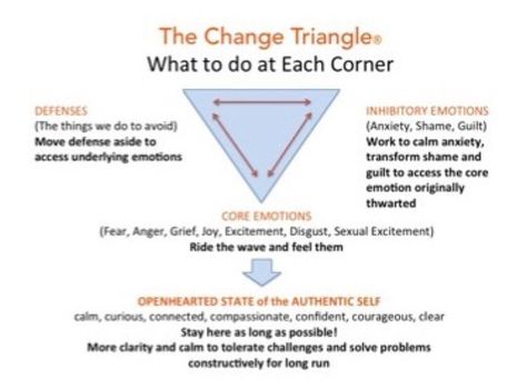 thechangetriangle.com Hilary Jacobs Hendel Change Triangle, Drama Triangle, Therapy Counseling, Therapy Tools, Diy Health, Authentic Self, Human Design, Neuroscience, The Change