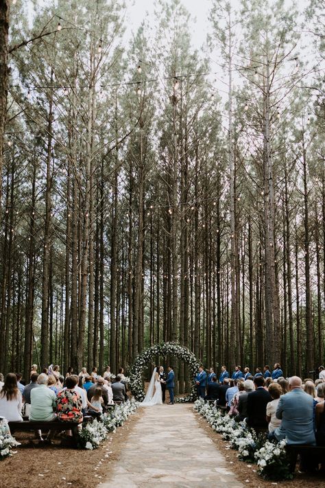 This wedding in the pine trees in Harrison Tennessee outside of Chattanooga was captured by Jayna Biery Photography, a Tennessee wedding photographer. The bride's spaghetti strap lace wedding gown was from Adorn Nashville, and her white, blue, and green bouquet was from May Flowers Chattanooga. The bride and groom got married in front of a circular floral arbor in the middle of a pine tree forest. Forest Wedding Blue, Blue Forest Wedding, Blue And Green Bouquet, Pine Tree Wedding, Floral Arbor, Forest Wedding Ceremony, Candlelit Reception, Trees Wedding, Pine Tree Forest