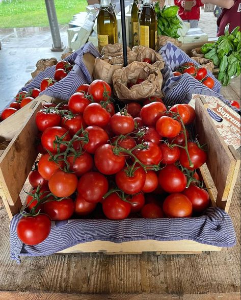 Scarlet Marissa Meyer, Tomatoes Aesthetic, Scarlet Lunar Chronicles, Tomato Aesthetic, Aesthetic Tomato, Scarlet Benoit, Black Coastal, Food Franchise, Aesthetic Fruit