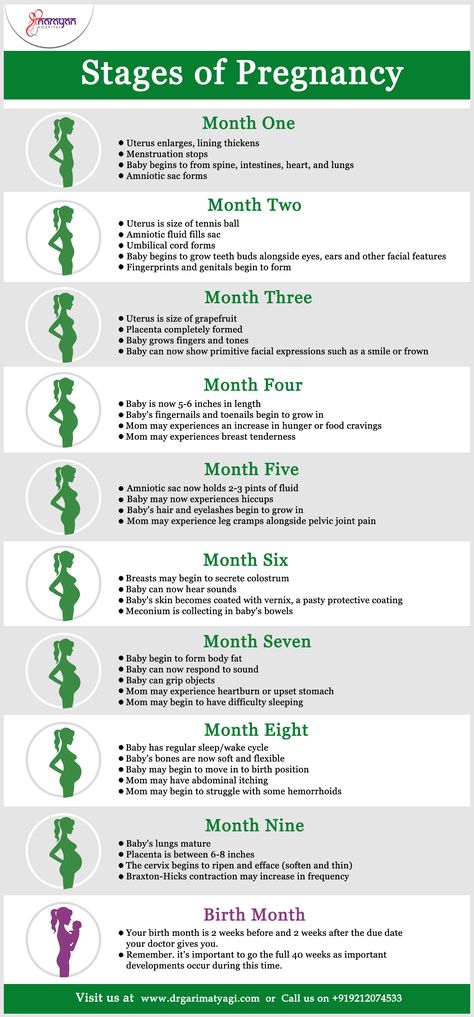 Stages of #pregnancy are divided into three trimesters. Here you'll learn about each one as we explain in detail all the exciting things happening to both you and your growing baby. #Gynae #Gynaecology #ChildBirth #Infertility Pregnant Information Tips, Pregnancy Things To Know, Baby Development Chart In Womb, Things To Know About Pregnancy, Baby Growth Chart In Womb, Pregnancy Appointment Timeline, Stages Of Pregnancy Weekly, Baby Growth In Womb, Things To Do While Pregnant