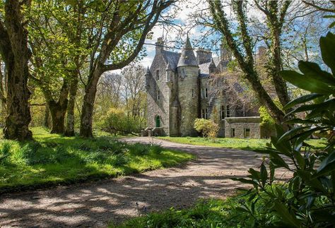 Scottish Castles For Sale, Queen Summer, Tree Lined Driveway, Rural Land, Old Castle, West Coast Scotland, Castles In Scotland, Victorian Garden, Tower House