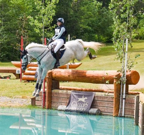 10 Types of Cross Country Jumps Cross Country Riding Aesthetic, Cross Country Eventing, Cross Country Aesthetic Horse, Cross Country Jumping, Cross Country Equestrian, Cross Country Jumps Equestrian, Equestrian Cross Country, Eventing Horses Cross Country, Horse Cross Country Jumps