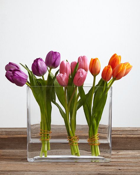 3 Fresh Ways to Style Tulips - ProFlowers Blog Simple Tulip Arrangement, Tulip Centerpiece Simple, Tulips Meaning, Tulip Centerpiece, Fresh Tulips, Rectangular Vase, Tulip Decor, Tulips Spring, Tulips Arrangement