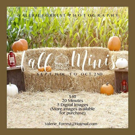 Hay Wedding, Fall Family Fun, Thanksgiving Pictures, Baby Fall, Fall Mini Sessions, Straw Bale, Straw Bales, Fall Family Pictures, Family Pic