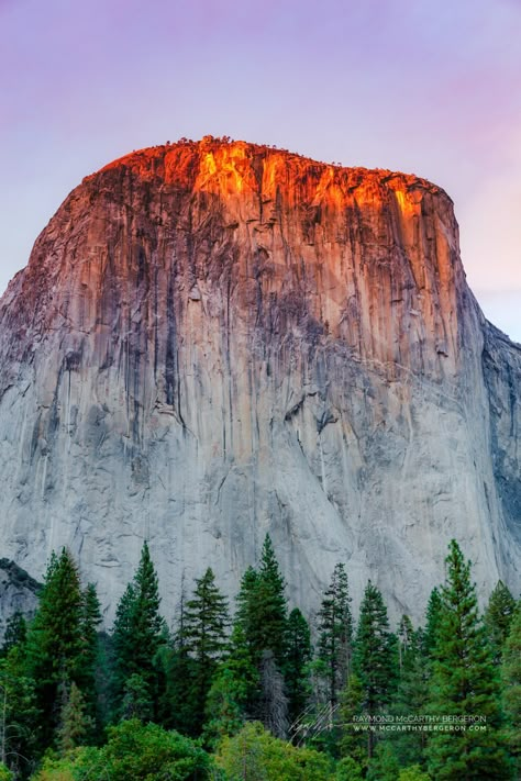 National Park Painting, Yosemite National Park Photography, Yosemite Trip, National Park Photography, Yosemite Park, Mirror Lake, Park Photography, Yosemite Valley, Yosemite National