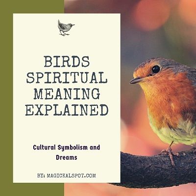 Birds And What They Symbolize, Birds With Meaning, Sparrow Meaning Spiritual, Birds And Meanings, Bird Tattoo Meaning Symbols, Bird Meanings Symbols, Birds And Their Meanings, Animal Symbolism And Meanings, Birds Spiritual Meaning