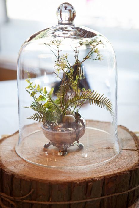 7 Creative Ways to Save Money on your Wedding Flowers Christmas Tree Inspiration White, Christmas Tree Inspiration Rustic, Images Noêl Vintages, Cloche Decor, Terrarium Centerpiece, Tree Inspiration, Tafel Decor, Vintage Christmas Images, Christmas Tree Inspiration