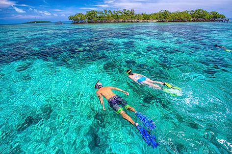 Belize Snorkeling, Yacht Trip, Beautiful Tropical Fish, Belize Barrier Reef, Belize Beach, Belize Vacations, Best Snorkeling, Belize City, River Trip