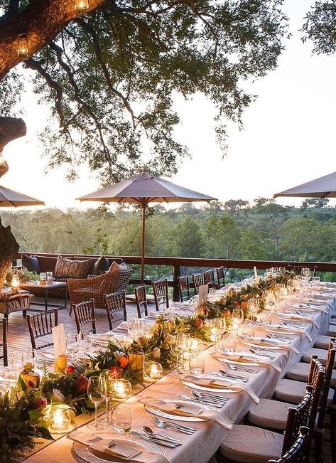 17 Unusual Wedding Venues Ideas - Poptop Event Planning Guide Wedding Venues South Africa, South Africa Destinations, Event Planning Guide, Unusual Wedding Venues, South Africa Wedding, Bush Wedding, Africa Wedding, Safari Wedding, South African Weddings