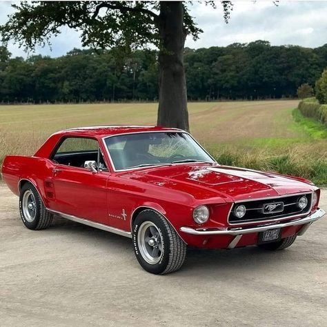 1967 Ford Mustang Coupe Mustang Car Aesthetic, 2024 Ford Mustang, Ford Mustang 1967, Man Garage, Tokyo Drift Cars, Mustang Sally, Mustang Car, Vintage Mustang, 1967 Ford Mustang