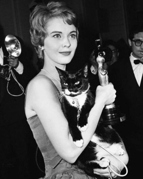 A Muse Of French Cinema, American Actress Jean Seberg Made Sure To Bring Her Cat To An Award Ceremony. The Photo Was Taken By Italian Photographer Gino Begotti In The 1960s In The Municipality Of Cortina D'ampezzo, Italy Jean Seberg, White Photo, A Cat, A Black, A Woman, Black And White, White, Black