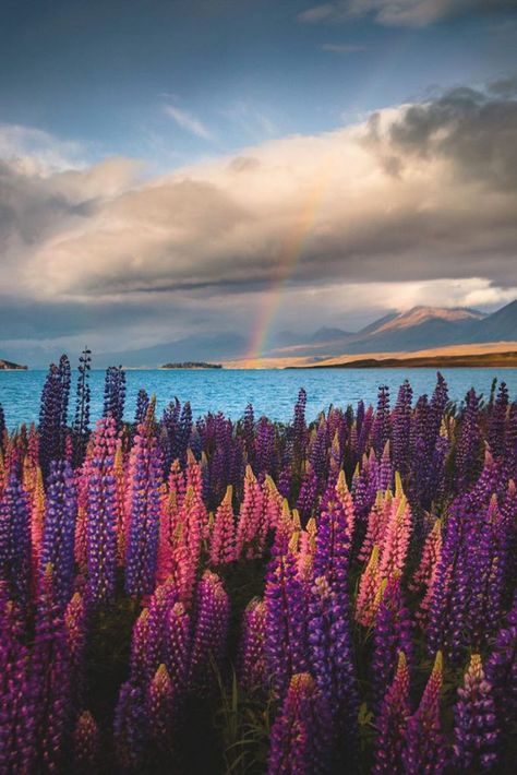 New Zealand Landscape, New Zealand South Island, Happy Earth, Before Sunset, New Zealand Travel, South Island, Ocean Inspiration, Vacation Destinations, The South