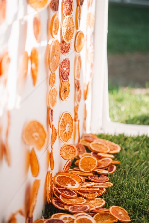 Dried Orange Backdrop, Aperol Birthday Party, Aperol Spritz Bridal Shower Theme Backdrop, Sunset Spritz Party, Citrus Garden Party, Citrus Photo Backdrop, Citrus Bridal Shower Backdrop, Wedding Aperol Spritz, Citrus And Sunset Bridal Shower Theme